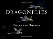 Pieter Van Dokkum Dragonflies Magnificent Creatures Of Water Air And Land 