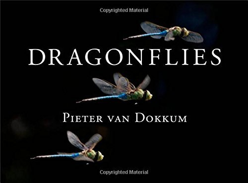 Pieter Van Dokkum Dragonflies Magnificent Creatures Of Water Air And Land 