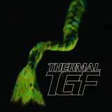Teengirl Fantasy Thermal Thermal 