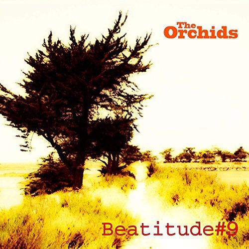 Orchids/Beatitude #9