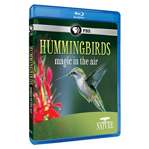Nature/Hummingbirds@PBS