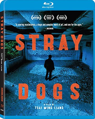 Stray Dogs/Stray Dogs