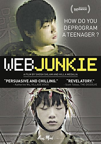 Web Junkie/Web Junkie