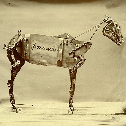 Chadwick Stokes/Horse Comanche