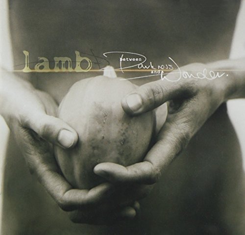 Lamb/Between Darkness & Wonder