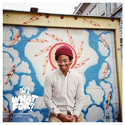 Toro Y Moi/What For