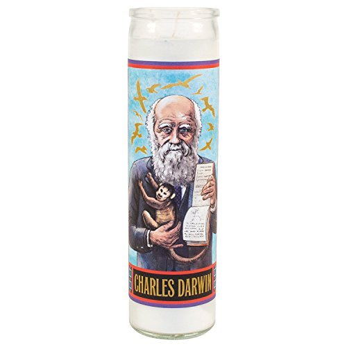 Candle/Charles Darwin