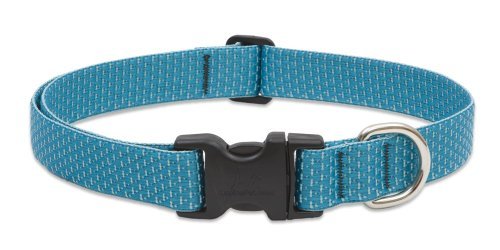 Lupine Eco Dog Collar - Tropical Sea