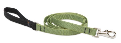 Lupine Pet Eco Recycled Dog Leash-Moss