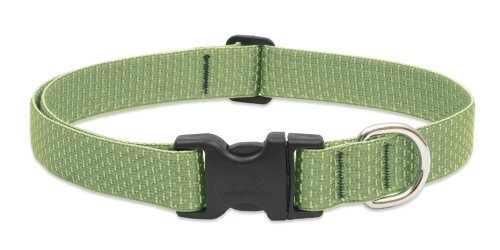 Lupine Eco Dog Collar - Moss