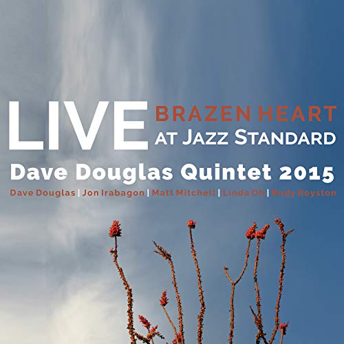 Dave Douglas/Meaning & Mystery