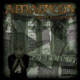 Amadeus The Stampede House Of Broken Mirrors 