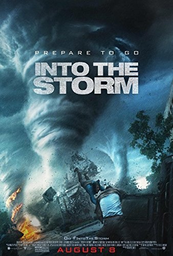 INTO THE STORM/Into The Storm