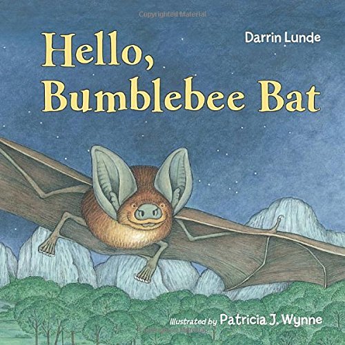Darrin Lunde Hello Bumblebee Bat 