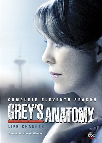 Grey's Anatomy Season 11 DVD Nr 