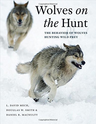 L. David Mech Wolves On The Hunt The Behavior Of Wolves Hunting Wild Prey 