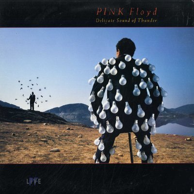 Pink Floyd/Delicate Sound Of Thunder