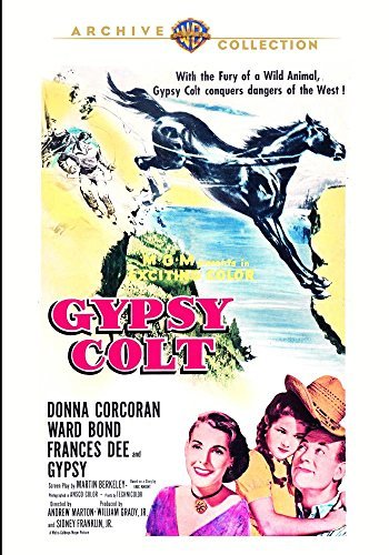 Gypsy Colt/Gypsy Colt