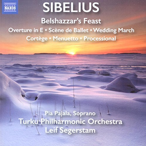 Sibelius / Turku Philharmonic/Orchestral Works