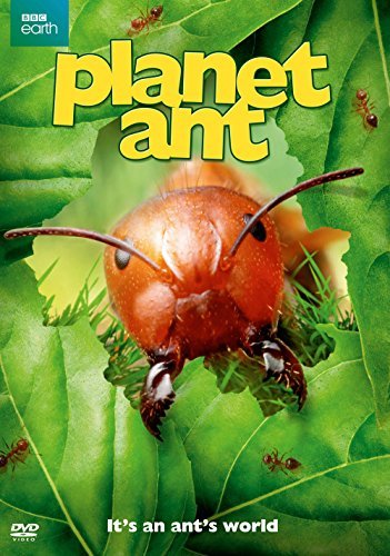 Planet Ant/Planet Ant@Dvd