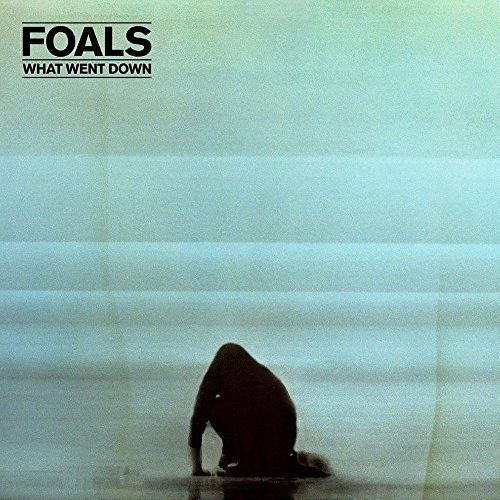 Foals/What Went Down