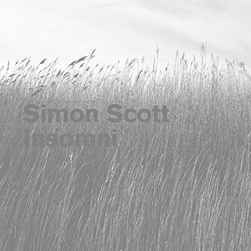 Simon Scott/Insomni