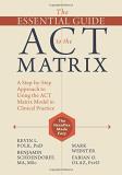 Kevin L. Polk The Essential Guide To The Act Matrix A Step By Step Approach To Using The Act Matrix M 