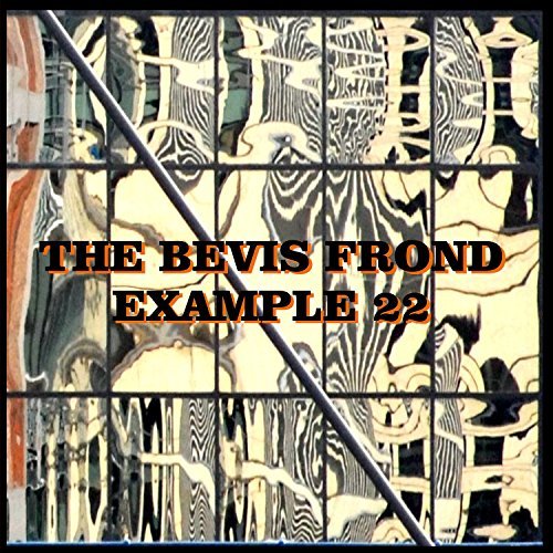 Bevis Frond/Example 22