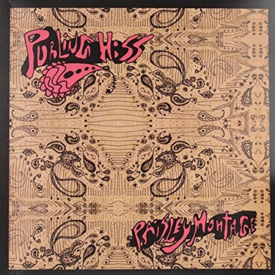 Album Art for Paisley Montage by Purling Hiss