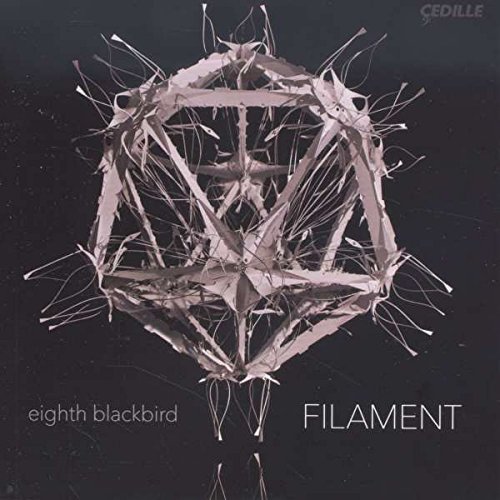 Dessner / Eighth Blackbird / D/Filament