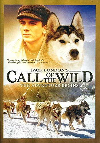 Call Of The Wild: The Adventure Begins/Call Of The Wild: The Adventure Begins@Jack London's Call Of The Wild The Adventure Begin