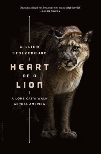 William Stolzenburg/Heart of a Lion@ A Lone Cat's Walk Across America