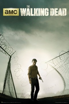 Poster/Walking Dead - Season 4  3174