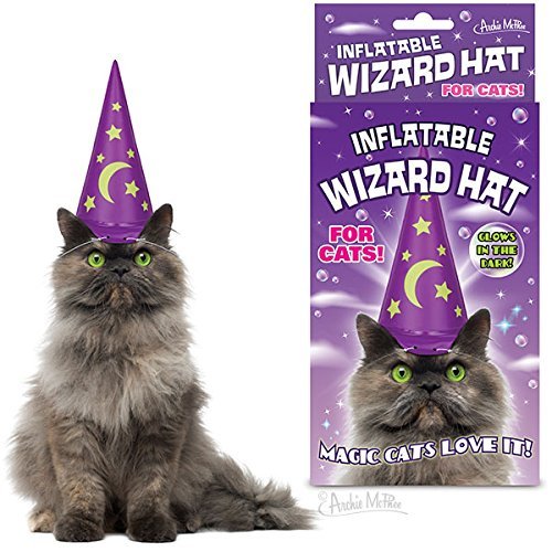 Inflatable Wizard Hat For Cats/Inflatable Wizard Hat For Cats