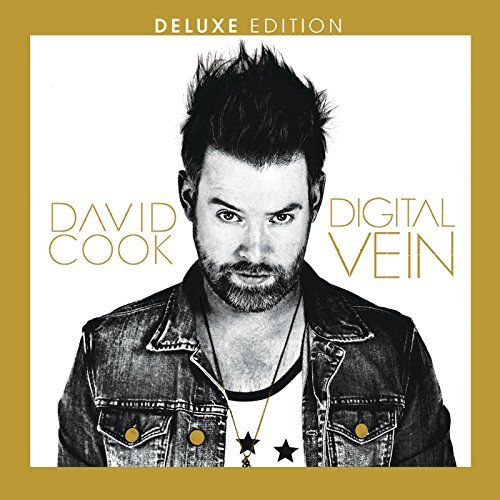 David Cook/Digital Vein@Digital Vein