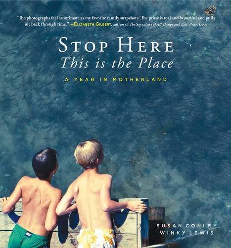 Susan Conley/Stop Here, This is the Place