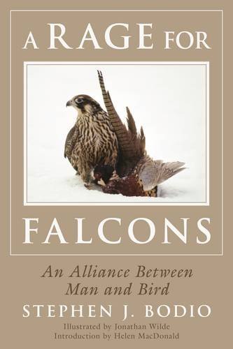 Stephen Bodio A Rage For Falcons An Alliance Between Man And Bird 