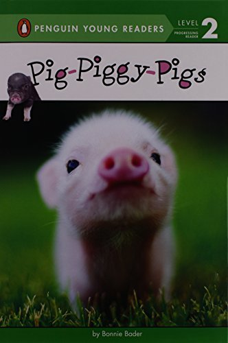 Bonnie Bader/Pig-piggy-pigs