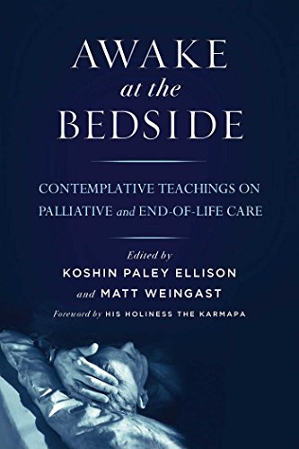 Koshin Paley Ellison Awake At The Bedside Contemplative Teachings On Palliative And End Of 