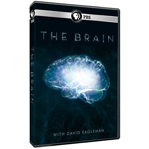 Brain With David Eagleman Pbs DVD Nr 