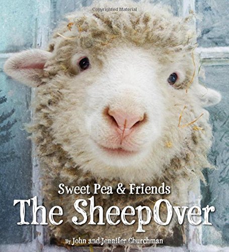 Jennifer Churchman/The Sheepover