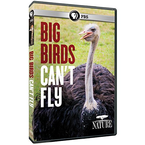 Nature/Big Birds Can't Fly@PBS/Dvd@Nr