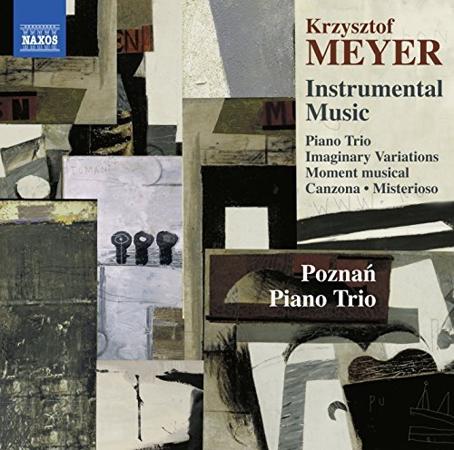Meyer / Poznan Piano Trio/Instrumental Music