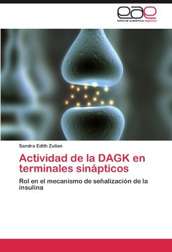 Sandra Edith Zulian/Actividad de La Dagk En Terminales Sinapticos