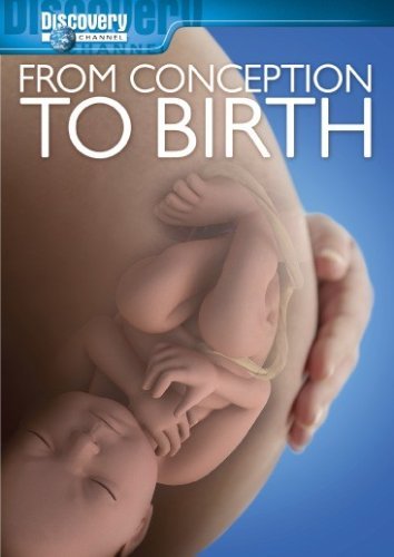 From Conception To Birth/From Conception To Birth@Ws@Nr