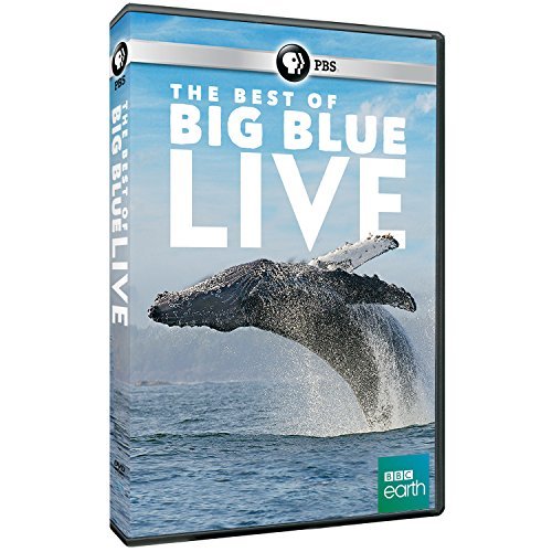 Best Of Big Blue Live Pbs DVD 