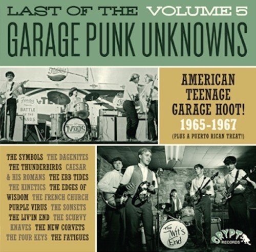 Last Of The Garage Punk Unknowns Volume 5/Volume 5