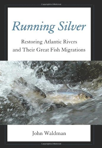 John Waldman Running Silver Restoring Atlantic Rivers And Their Great Fish Mi 