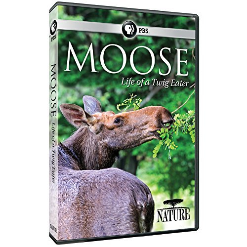 Nature/Moose: Life Of A Twig Eater@PBS/Dvd@Nr