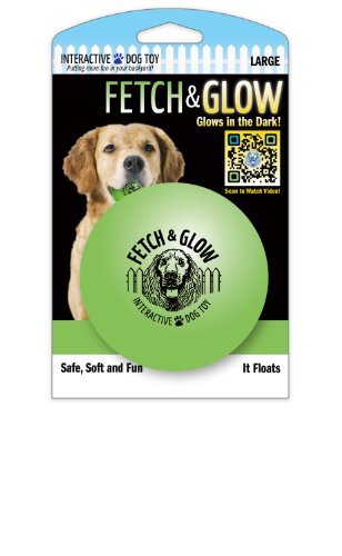 Fetch & Glow Ball Lrg-Spunky Pup